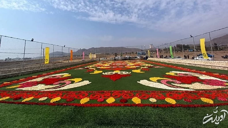 تصاویر زیباترین فرش‌های گل جهان | راهکار بروکسل برای پهن کردن یک فرش گل زیبا | وجه تمایز فرش گل محلات و فرش گل کرج را ببینید